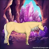 Horse Color:Palomino 