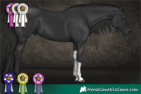 Horse Color:Liver Chestnut Tobiano Rabicano 