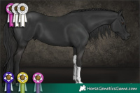 Horse Color:Liver Chestnut Tobiano Rabicano
