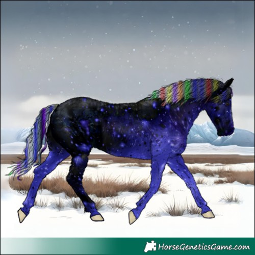 Horse Color:ERROR: UNKNOWN ANOMALY