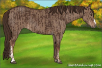 Horse Color:Liver Chestnut and Liver Red Dun