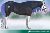 Horse Color:Midnight Perlino Splash 