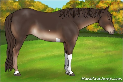 Horse Color:Liver Chestnut Tobiano 