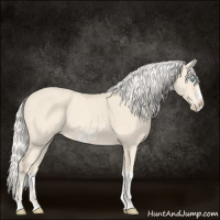 Horse Color:Cremello Splash  and Cremello Splash Frame 