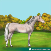 Horse Color:Silver Bay Tobiano Varnish 