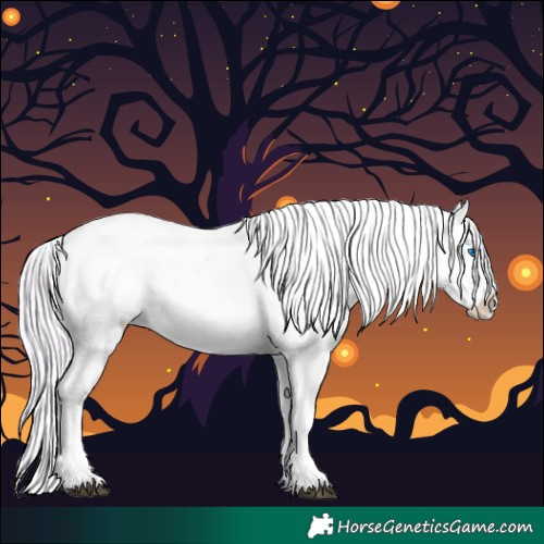 Horse Color:Watercolor White Spotted Silver Buckskin Splash Tobiano Appaloosa 