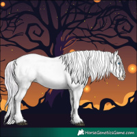 Horse Color:Watercolor White Spotted Silver Buckskin Splash Tobiano Appaloosa 