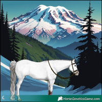 Horse Color:Brown Sabino Appaloosa Rabicano 
