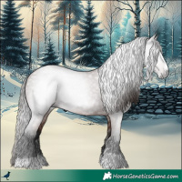 Horse Color:Gray Bay Varnish