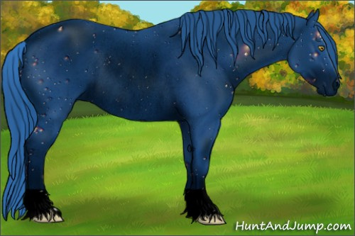 Horse Color:ERROR: UNKNOWN ANOMALY