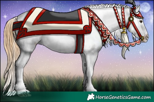 Horse Color:Chestnut Appaloosa 