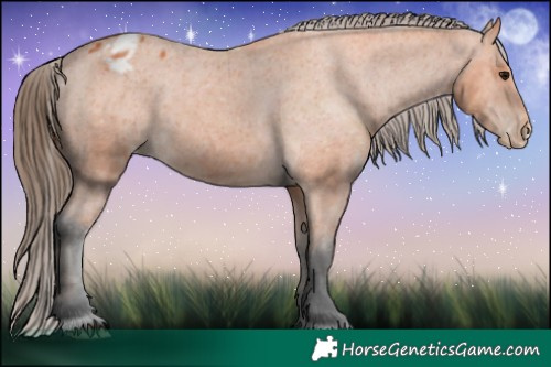 Horse Color:Bay Varnish