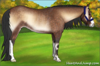 Horse Color:Brown Onyx Rabicano