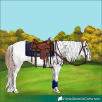 Horse Color:Gold Champagne Ice Onyx Snowcap