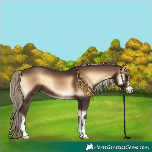 Horse Color:Liver Red Onyx 