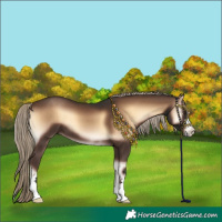 Horse Color:Liver Red Onyx