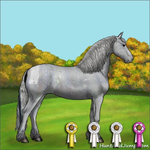 Horse Color:ERROR: UNKNOWN ANOMALY