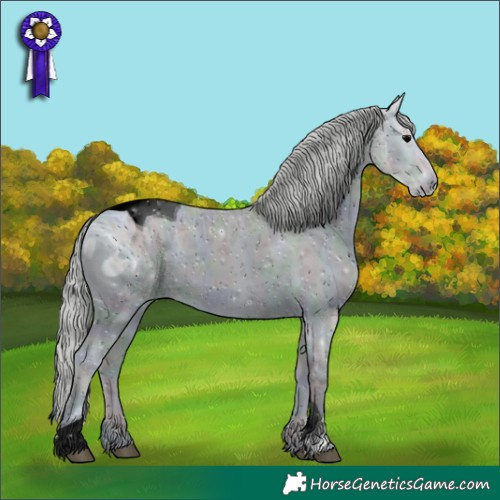 Horse Color:ERROR: UNKNOWN ANOMALY