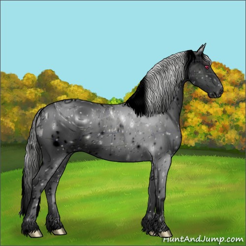 Horse Color:ERROR: UNKNOWN ANOMALY