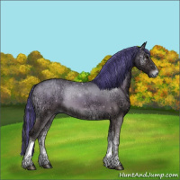 Horse Color:Painted Grullo Ice Onyx Sabino Tobiano 