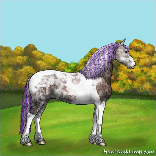 Horse Color:Painted Grullo Ice Onyx Tobiano 