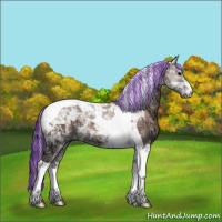Horse Color:Painted Grullo Ice Onyx Tobiano