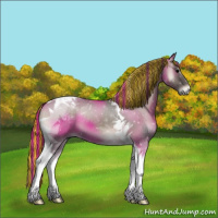 Horse Color:Painted Grullo Onyx Tobiano 