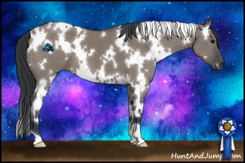 Horse Color:White Spotted Grullo 