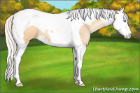Horse Color:Silver Amber Champagne Pearl Splash Tobiano Appaloosa 