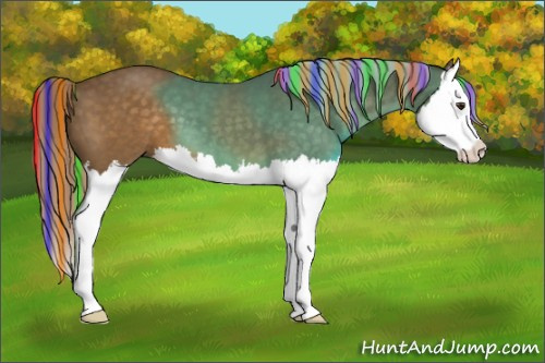 Horse Color:Painted Chocolate Palomino Splash 