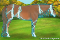 Horse Color:Thunderstruck Chestnut 