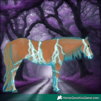 Horse Color:Thunderstruck Chestnut 