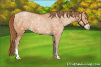 Horse Color:Brown Ice Pearl