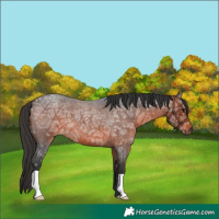 Horse Color:Brown Ice Roan