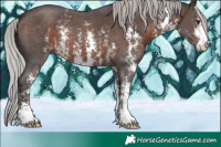Horse Color:Silver Brown Mushroom Sabino