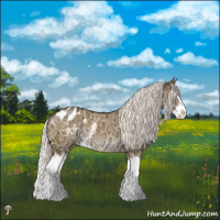 Horse Color:White Spotted Silver Buckskin Ice Dun Mushroom Splash Appaloosa Rabicano 