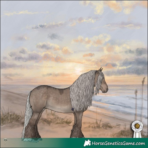Horse Color:Silver Grullo Mushroom Rabicano 