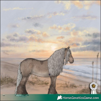 Horse Color:Silver Grullo Mushroom Rabicano 
