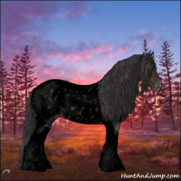 Horse Color:Void Brown Tobiano Appaloosa 