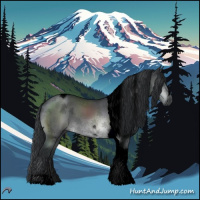 Horse Color:Void Brown Chinchilla Sabino Tobiano 