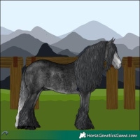 Horse Color:Void Brown Chinchilla Roan 