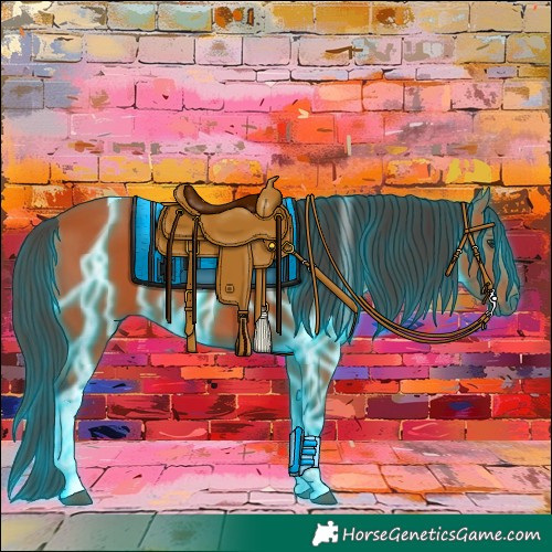 Horse Color:Thunderstruck Bay Tobiano 