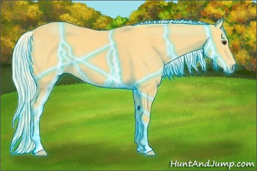 Horse Color:Thunderstruck Palomino 