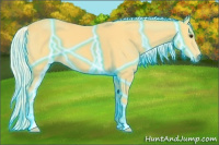Horse Color:Thunderstruck Palomino 