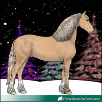 Horse Color:Chestnut Mushroom
