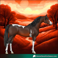 Horse Color:Brown Sabino Tobiano