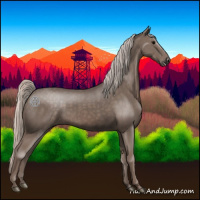 Horse Color:Silver Black
