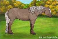 Horse Color:Silver Grullo 