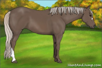 Horse Color:Silver Black