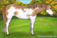Horse Color:Chestnut Splash Frame